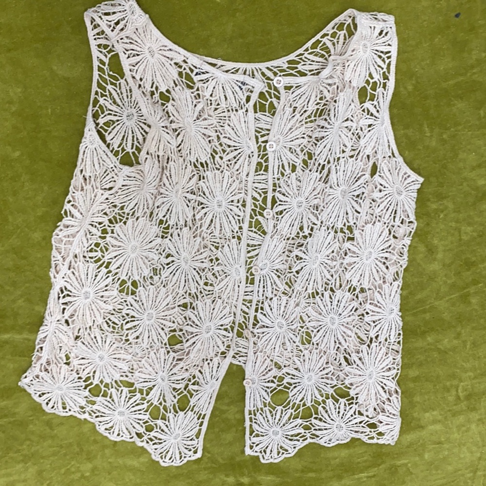 Medium sheer daisy over top